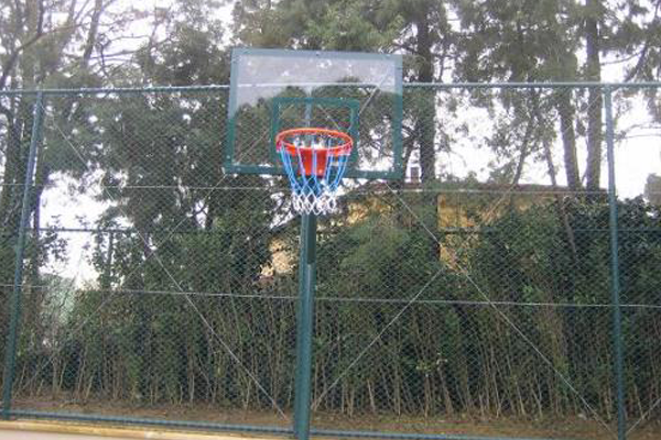 Basketbol Potaları
